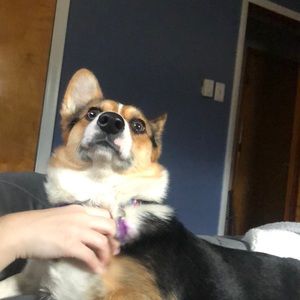 Meet your Posher, Luke